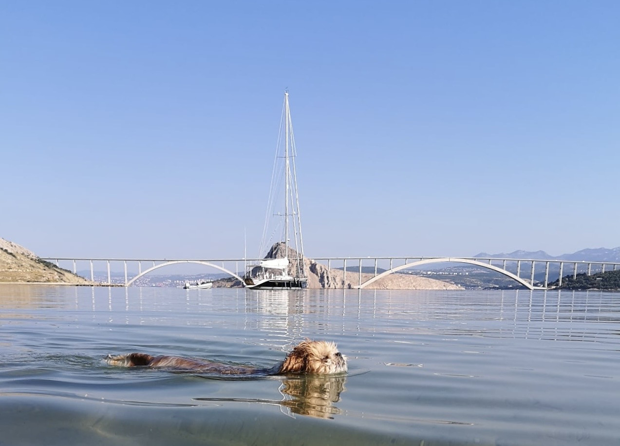 Dog Beaches on the Island of Krk – the Perfect Vacation for You and Your Dog